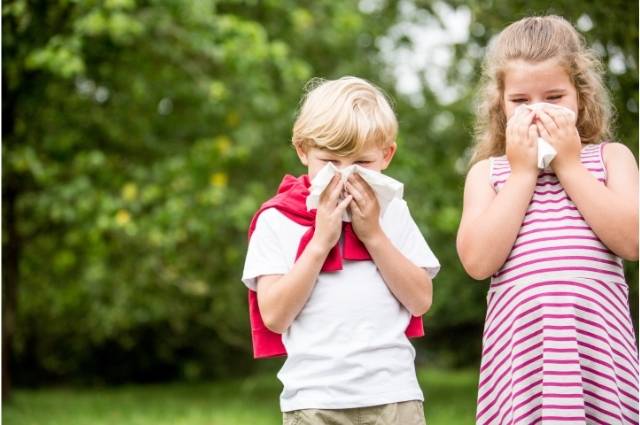 O que acontece em um ataque de alergia nasal?